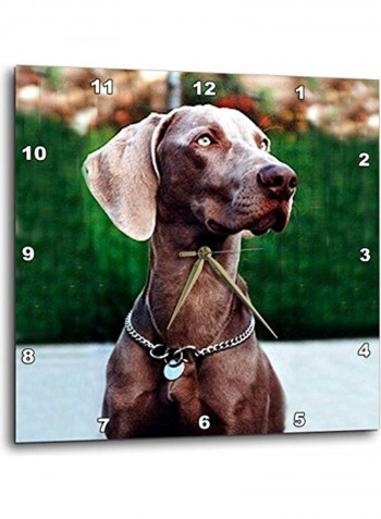 DPP 1095 2 Weimaraner Wall Clock Multicolour 13x13inch
