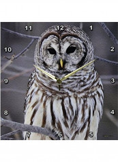 Owl Printed Analog Wall Clock Multicolour 13x13x0.1inch