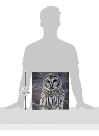 Owl Printed Analog Wall Clock Multicolour 13x13x0.1inch