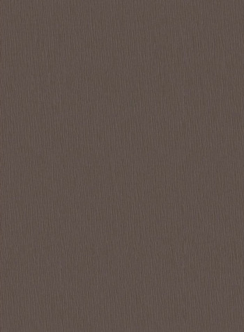 Single Comfort Roller Blackout Window Shades Dark Grey 120x175cm