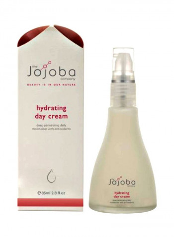Hydrating Day Cream 2.8ounce