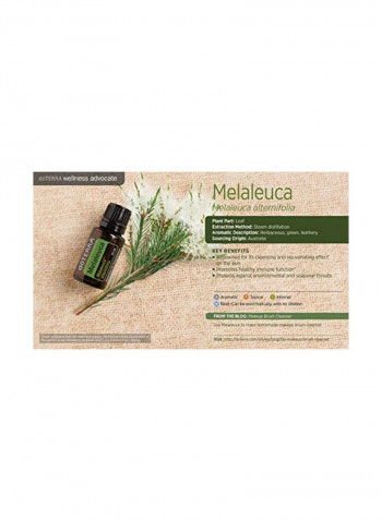 2-Piece Melaleuca Essential Oil Clear 15ml