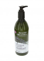 Pack Of 6 Lavender Body Lotion 12ounce