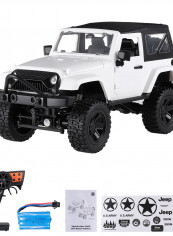 F1 RC Car 1/14 Scale Remote Control Off Road Trucks 36.5cm
