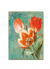 Tulips Ablaze Ii Canvas Wall Art Green/Red 14 x 19inch