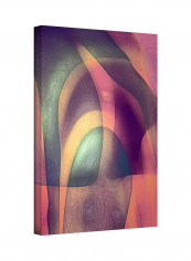 Intrusion Ii Gallery-Wrapped Canvas Wall Art Multicolour 14 x 18inch