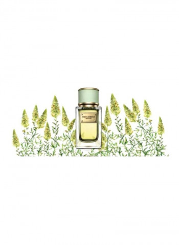 ماء عطر فيلفت بيور 50مل
