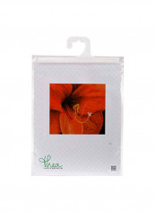 Amaryllis Counted Cross Stitch Kit Orange/Black/Yellow