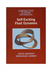 Self-Exciting Fluid Dynamos Paperback