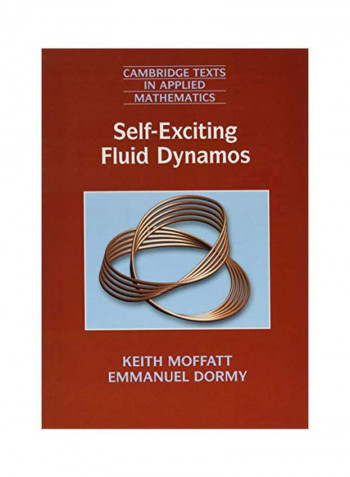 Self-Exciting Fluid Dynamos Paperback