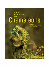 The Biology Of Chameleons Hardcover 1