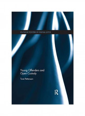 Young Offenders And Open Custody Paperback English by Tove Pettersson