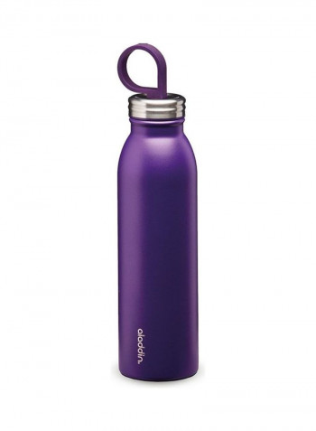 Chilled Thermavac Stainless Steel Water Bottle 0.55L
