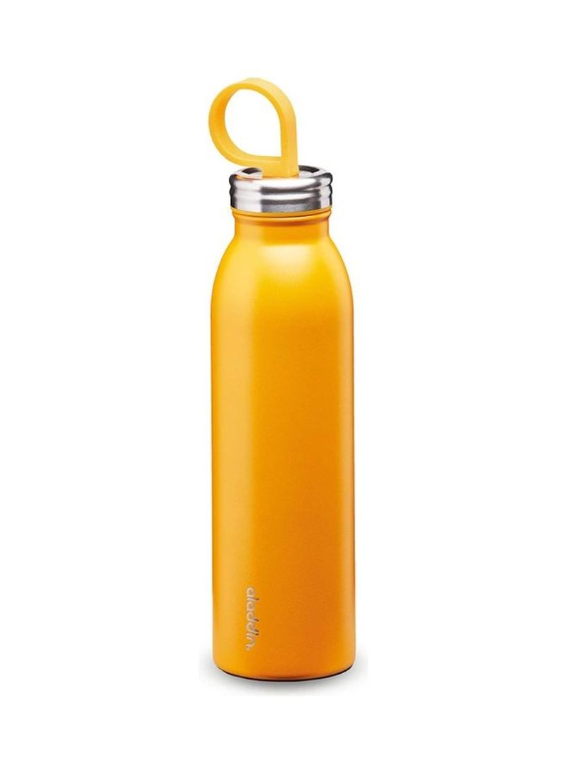 Chilled Thermavac Stainless Steel Water Bottle 0.55L