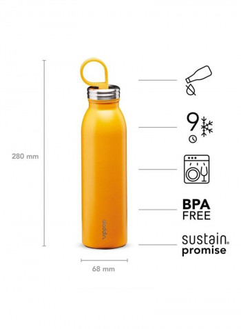 Chilled Thermavac Stainless Steel Water Bottle 0.55L