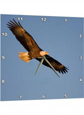 Bald Eagle Printed Analog Wall Clock Blue/Black/Yellow 13x13x0.1inch