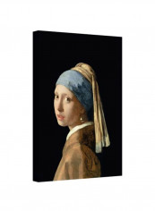 Johannes Vermeer Girl With A Pearl Earring Gallery Wrapped Canvas Artwork Black/Beige/Blue 18x14inch