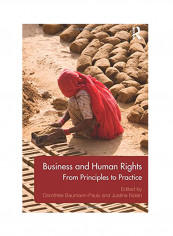Business And Human Rights: From Principles To Practice Paperback