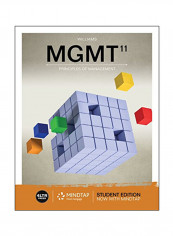 MGMT: Principles Of Management Paperback