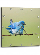 Mountain Bluebird Printed Analog Wall Clock Multicolour 10x10x0.1inch