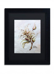 Coffea Arabica Framed Wall Art Multicolour 11 x 14inch