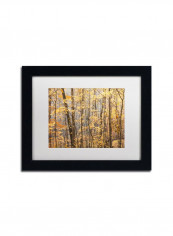 Autumn Treeline 2 Wall Art Multicolour 11 x 14inch