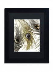 Feather Fashion I Framed Wall Art Multicolour 11 x 14inch