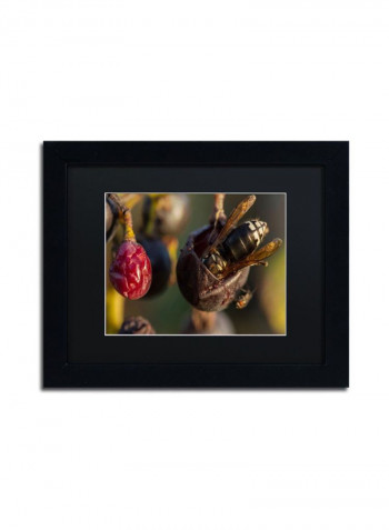 Hornets Framed Wall Art Multicolour 11 x 14inch