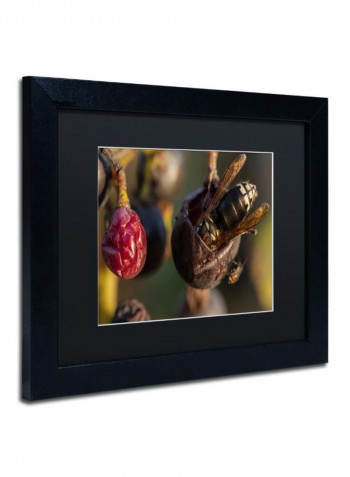 Hornets Framed Wall Art Multicolour 11 x 14inch