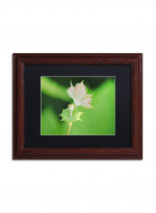 Beginning Wooden Framed Wall Art Green 11 x 14inch