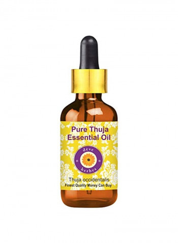 Pure Thuja Essential Oil With Glass Dropper Multicolour 100ml