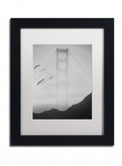 Gold Ornate Frameen Gate Pier And Birds I Framed Wall Art Black/White 11 x 14inch