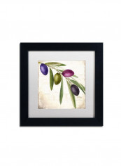 Olive Branch Iii Framed Wall Art multicolour 11 x 11inch