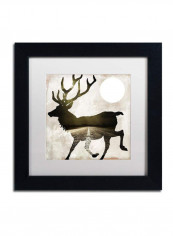 Going Wild I Framed Wall Art Multicolour 11 x 11inch