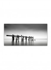 Defiance Artwork Canvas Wall Art Black/White 12 x 24inch