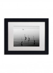Herons And Boat Framed Wall Art Multicolour 11 x 14inch