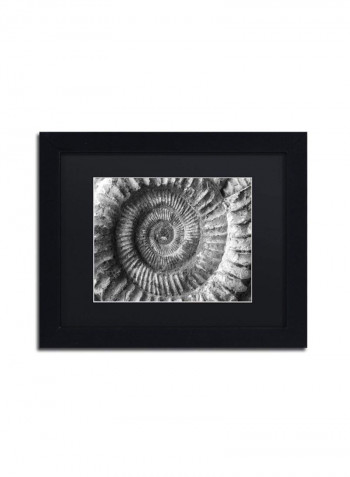 Amonita 2 Framed Wall Art Grey 11 x 14inch