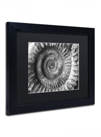 Amonita 2 Framed Wall Art Grey 11 x 14inch