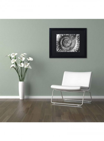 Amonita 2 Framed Wall Art Grey 11 x 14inch