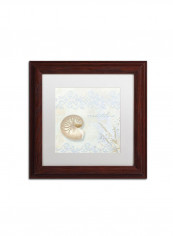 She Sells Seashells I Framed Wall Art Multicolour 11 x 11inch