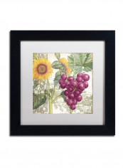 Dolcetto II Framed Wall Art Multicolour 11 x 11inch