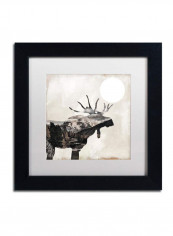 Going Wild V Framed Wall Art Multicolour 11 x 11inch