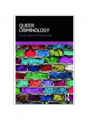 Queer Criminology: New Directions In Critical Criminology Paperback