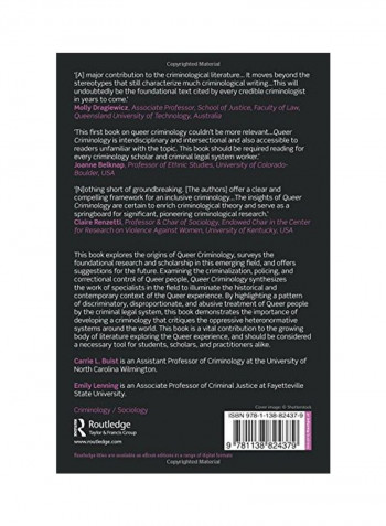 Queer Criminology: New Directions In Critical Criminology Paperback