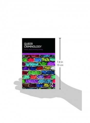 Queer Criminology: New Directions In Critical Criminology Paperback