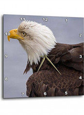 Eagle Printed Wall Clock Multicolour 10 x 10inch