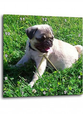 Pug Puppy In Grass Wall Clock Multicolour 10x10inch