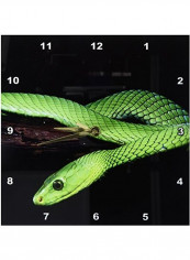 East African Green Mamba Snake Wall Clock Multicolour 10x10inch