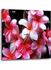 Floral Themed Wall Clock Multicolour reviews Floral Themed Wall Clock Multicolour