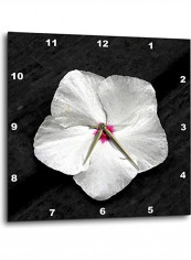 Flower Printed Analog Wall Clock Multicolour 10x10x0.1inch